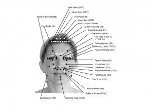 How to Apply Pressure to Acupressure Points - EWHAI Massage therapy ...