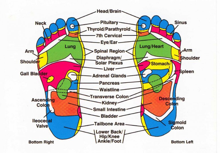 Reflexology Benefits And Limitations Ewhai Massage Therapy School Madison Wi 